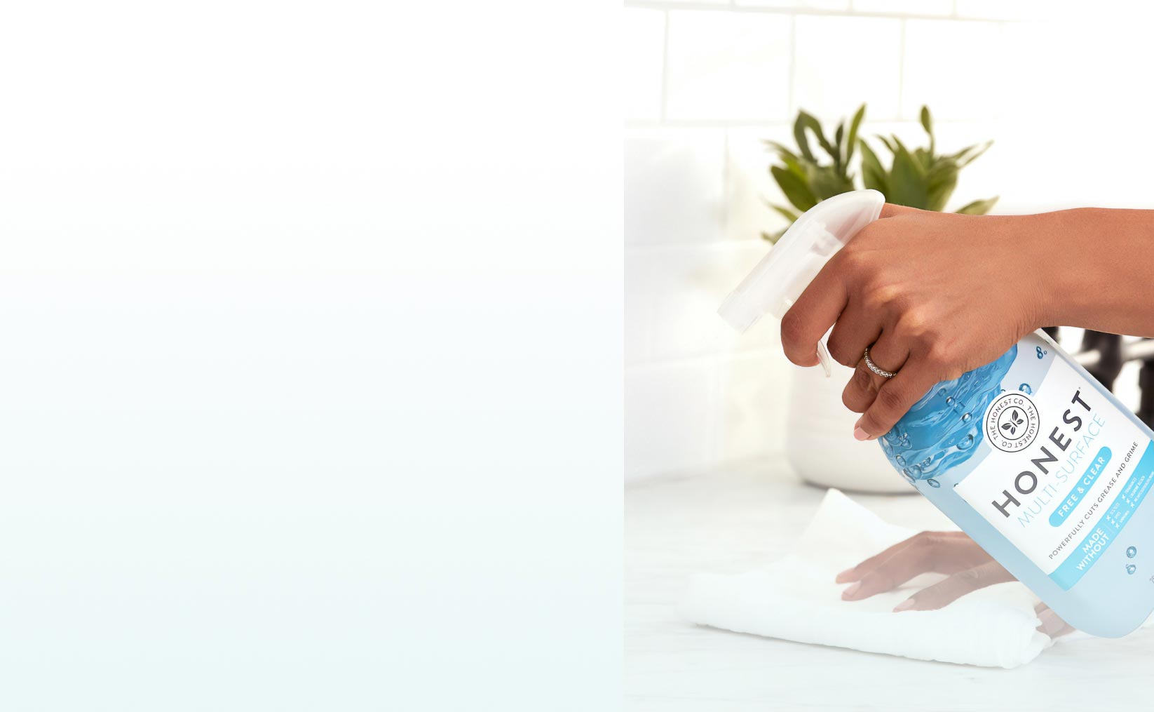 Woman Cleaning Woman Cleaning